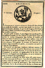 Playing card